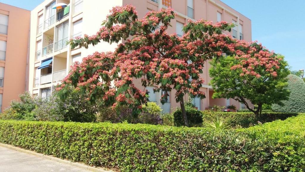 T3 spacieux et lumineux à 5min du port de Sanary - Fleur de Mai apartment Sanary-sur-Mer Exterior foto